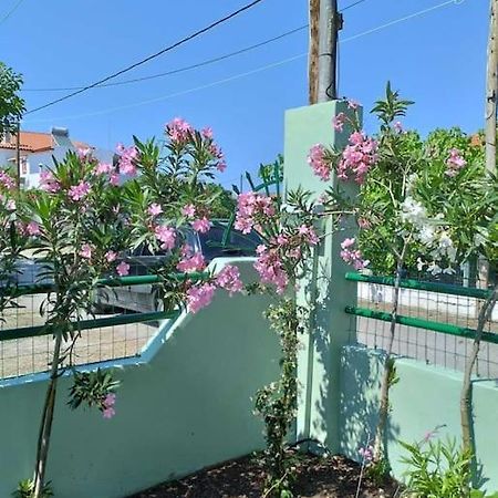 Lovely Guesthouse On The Beach Agia Anna  Bagian luar foto