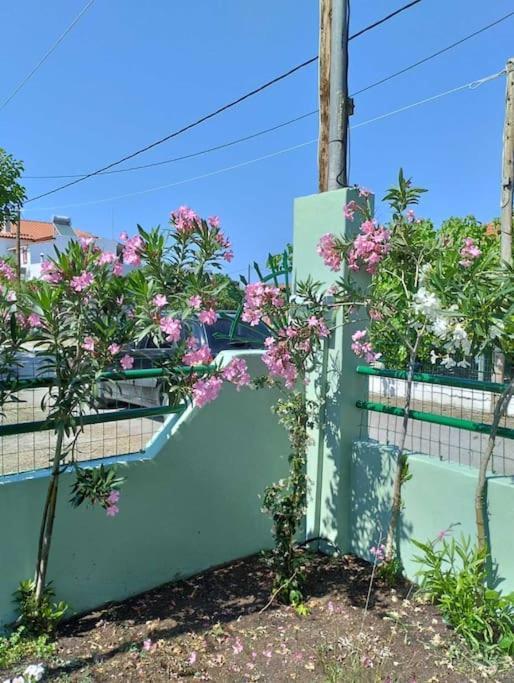 Lovely Guesthouse On The Beach Agia Anna  Bagian luar foto