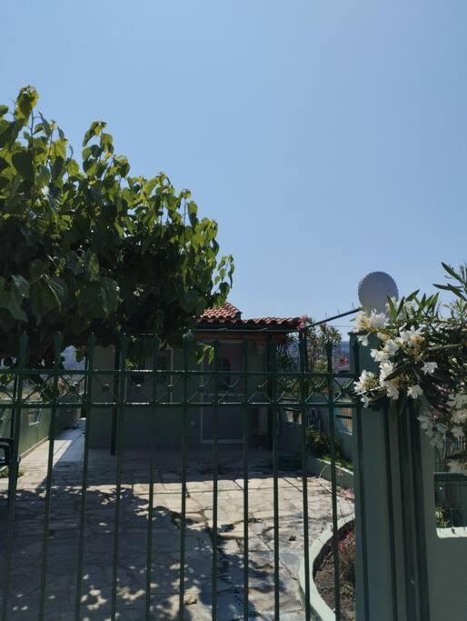 Lovely Guesthouse On The Beach Agia Anna  Bagian luar foto